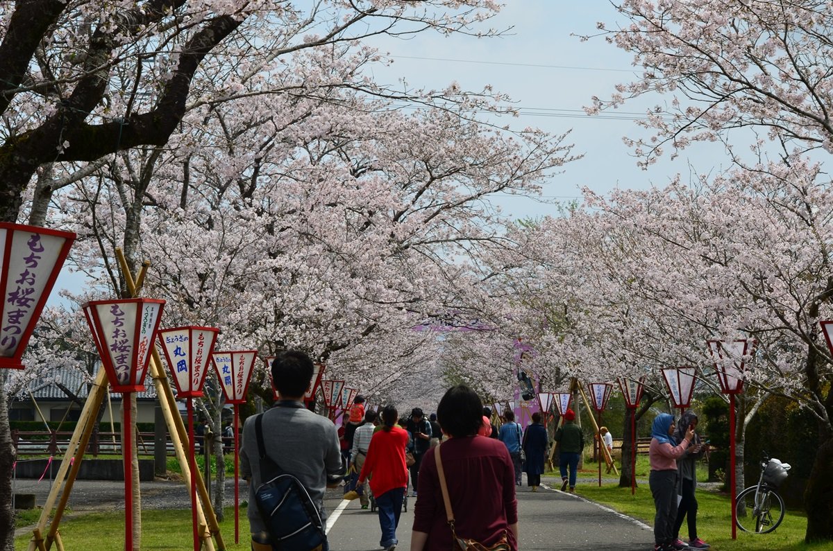 🌸 모치오 공원 (母智丘公園) 이미지 9